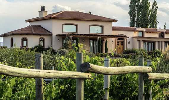 Algodon Estate Weingut in Argentinien Import Wein